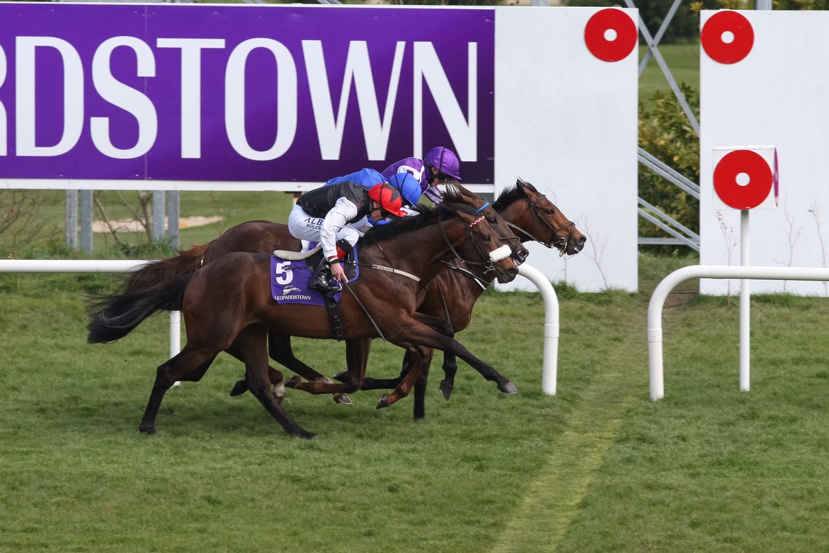Racing_Pics's tweet photo. Black Sea winning the 2,000 Guineas Trial Stakes @LeopardstownRC @the_racehour @RacingFMLive https://t.co/HarGr4IrLJ