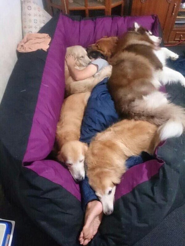 MejoresTwits's tweet image. Yo en un futuro