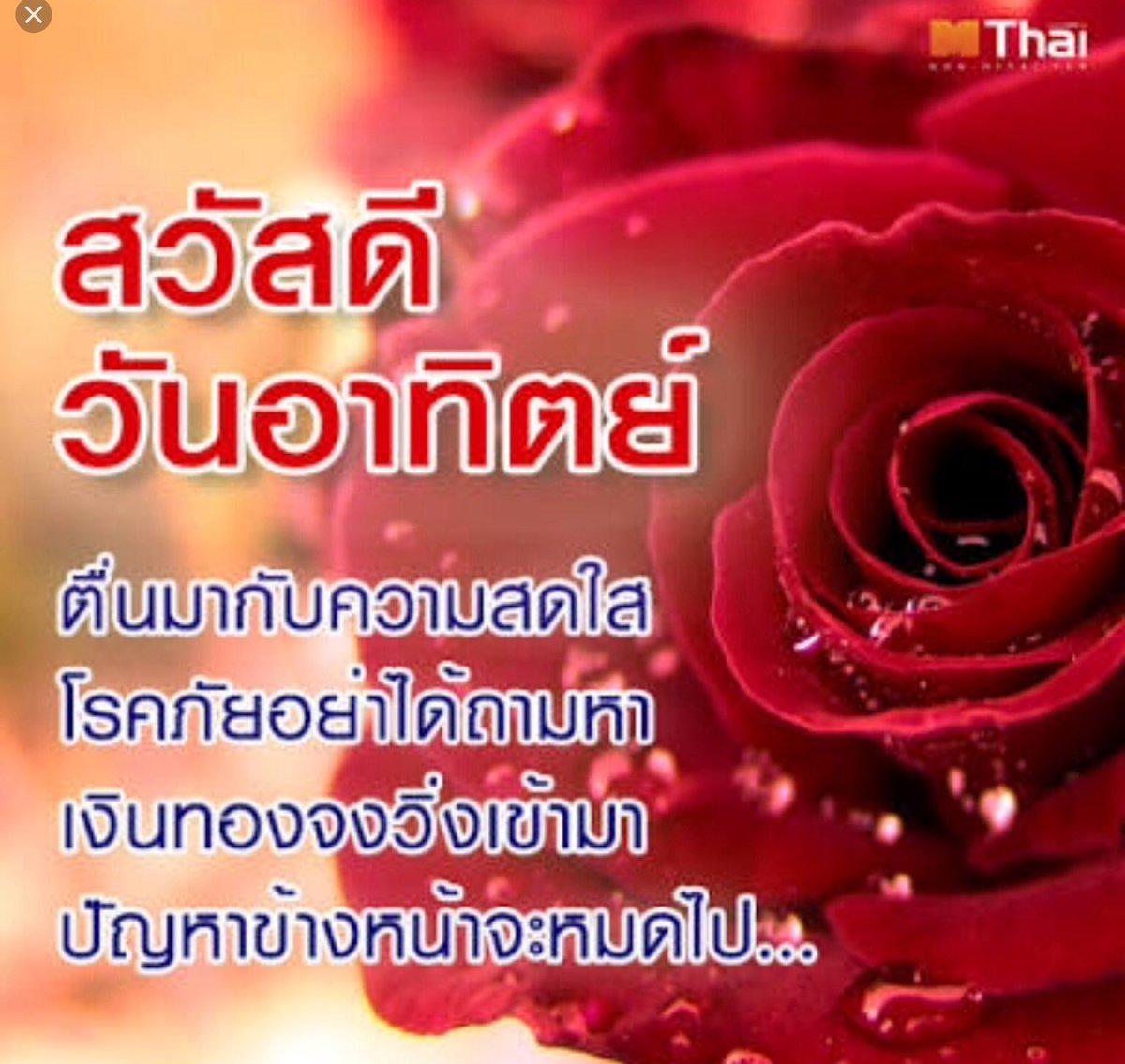 JHX94DT's tweet photo. @JNHONx97_ สวัสดีผมมาแร้ว ละละลูกผู้ชายพันธุ์D! https://t.co/09CTw4E4lG