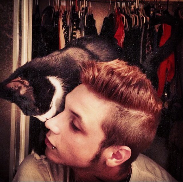"I found a stray cat."

Yes! Becuz he has a soft spot for cats.