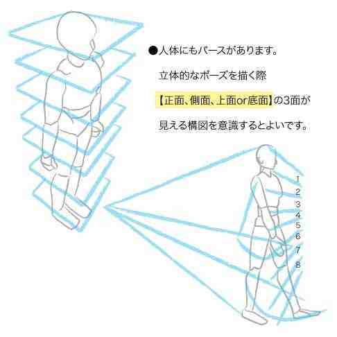 絵師ぺディア 人体にもパースが存在します 立体的なポーズを描く際は3面を意識しましょう 正面 側面 上面 又は底面 T Co Zi3niihlkx Twitter