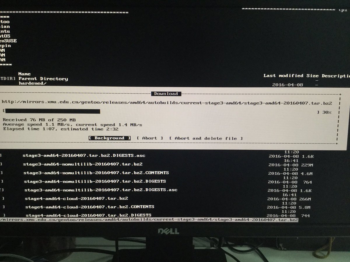 ud3v0id's tweet photo. Hello Gentoo! https://t.co/3OGn9Cv7Cy