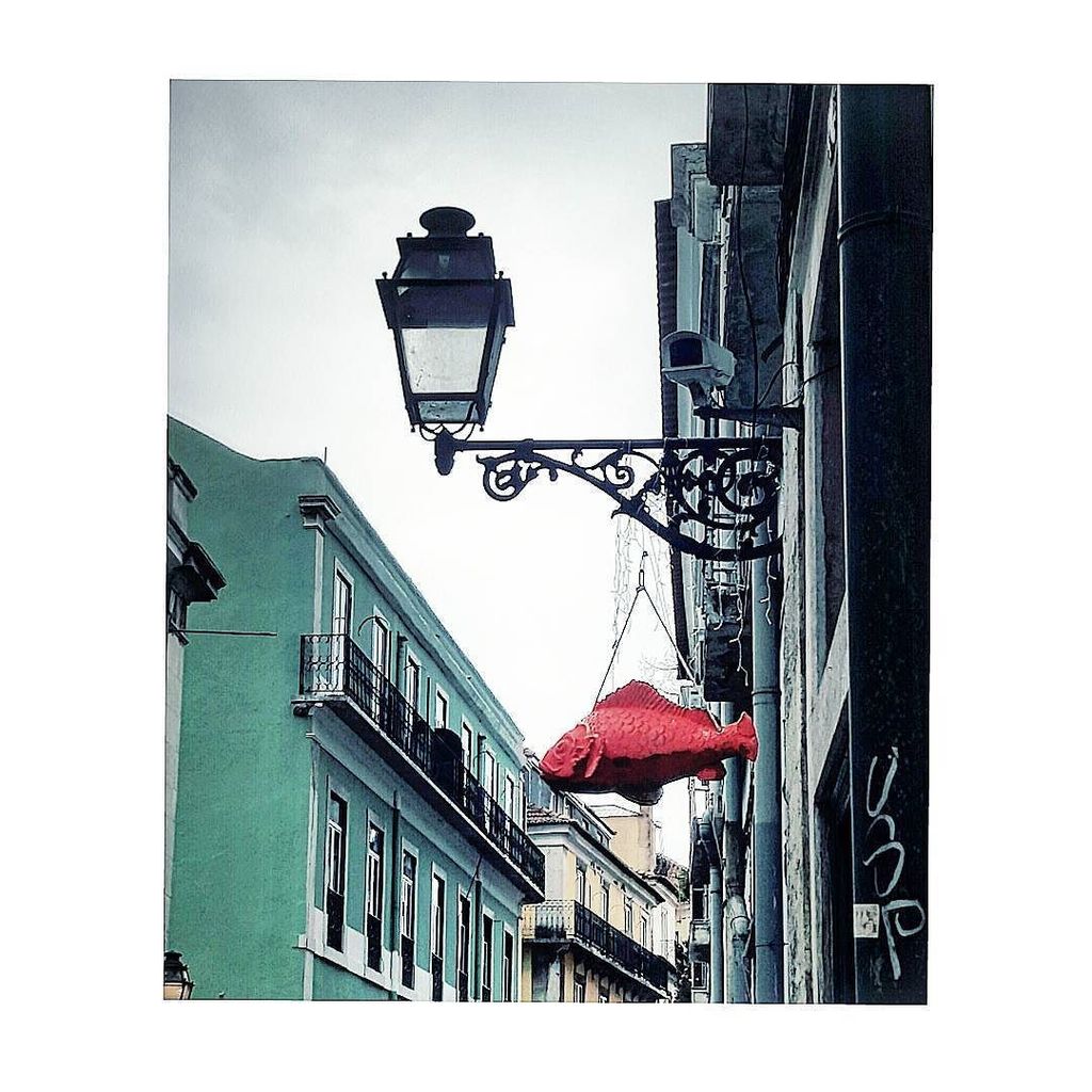 ilovebairroalto's tweet photo. #lisboa #bairroalto #bomdia #passeggiando #onfoot #ioetu #weekend #buongiorno #lisbonlover by juanitamaurini https://t.co/F6aWqdc6TU
