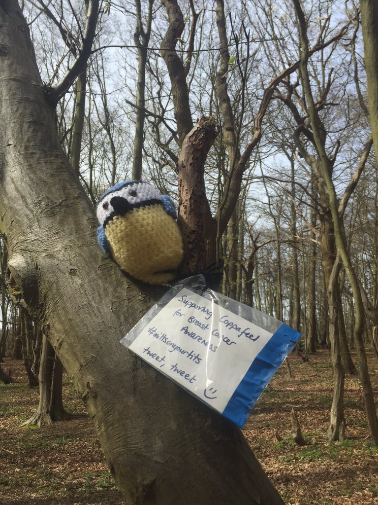 Lydgalbally's tweet photo. @CoppaFeelPeople #hockleywoods https://t.co/EaechViUI0