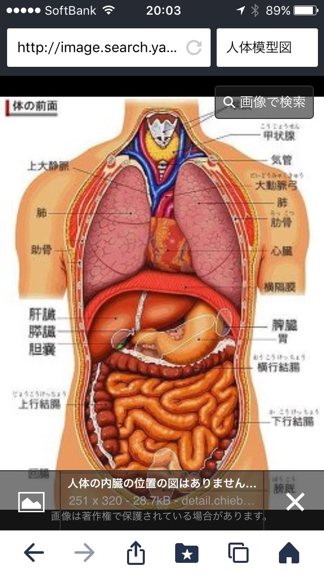 igarasi Naruki（pink） tweet media