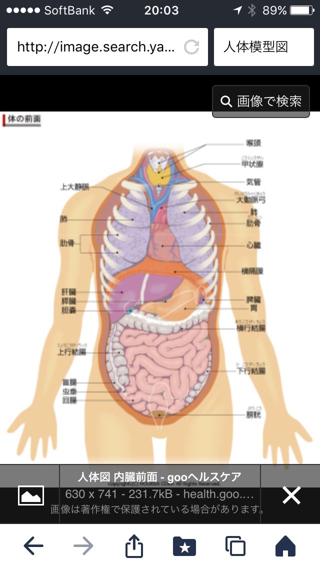 igarasi Naruki（pink） tweet media
