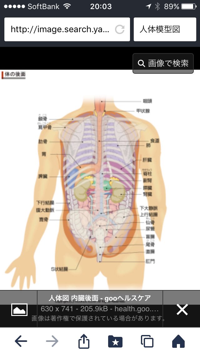 igarasi Naruki（pink） tweet media