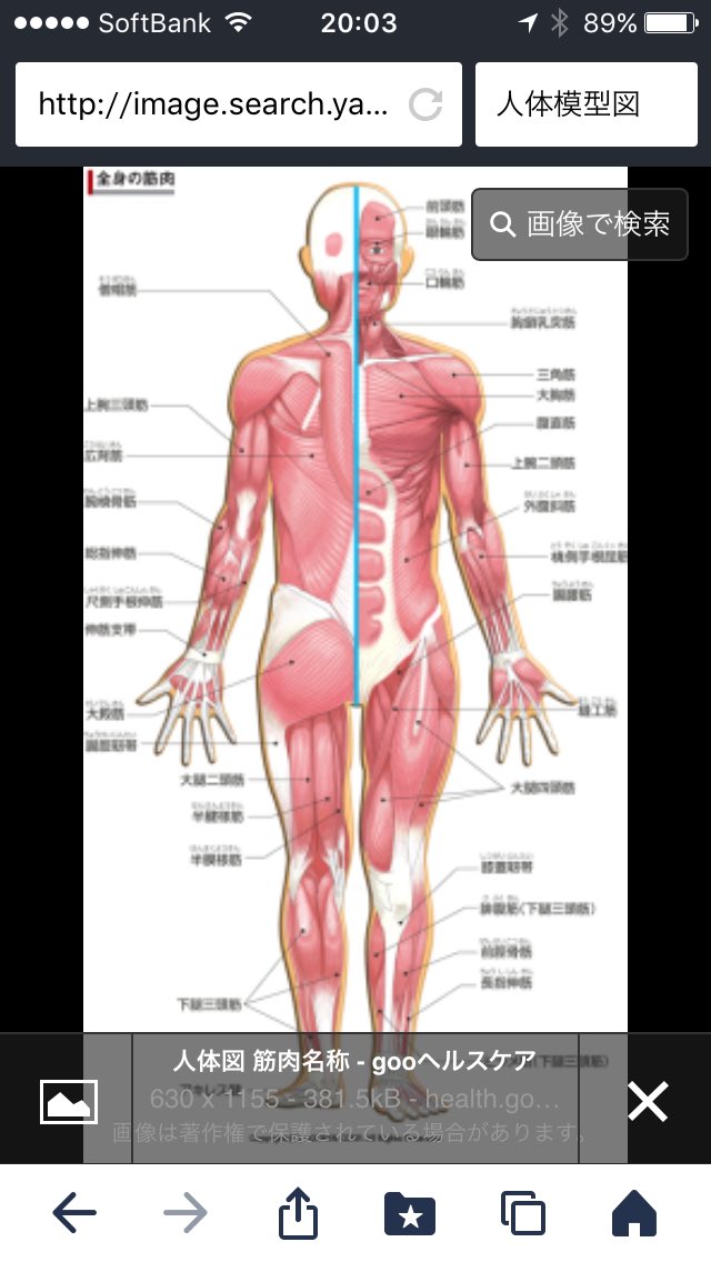 igarasi Naruki（pink） tweet media