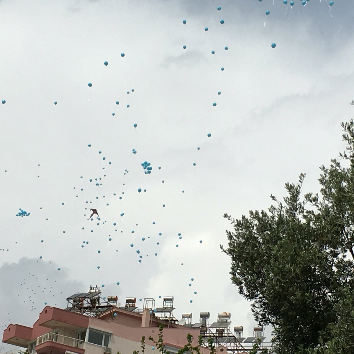 alperalveroglu's tweet photo. Muhteşem bir pazar günü ve tüm Antalya burada adeta, emeği geçen tüm gönüldaşlara teşekkürler 💙
@KONGEDorg https://t.co/2TfO06NPys