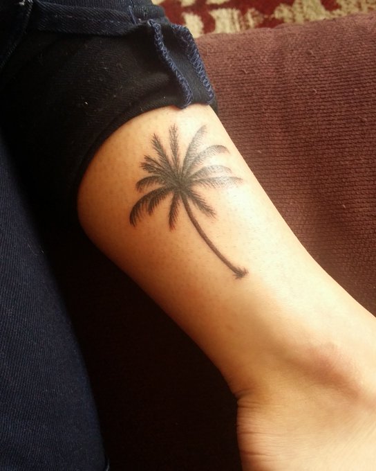 Palmboompjes liefde ❤🌴 Mijn nieuwe aanwinst. https://t.co/dWFXZejvgA<a href="/tag/playboy"class="tags"><span>#playboy</span></a><a href="/tag/usa"class="tags"><span>#usa</span></a>