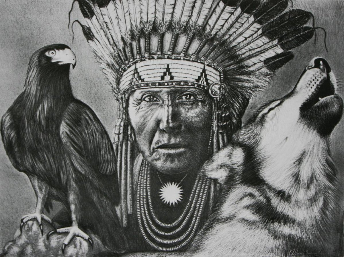 ChiefRedbird hashtag on Twitter