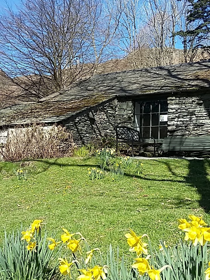 hmclain49's tweet photo. Last day of our exhibition @merzbarn. Call by for tea and cake between 2 -5pm today. The sun and daffodils are out! https://t.co/YgqqL9kPmt