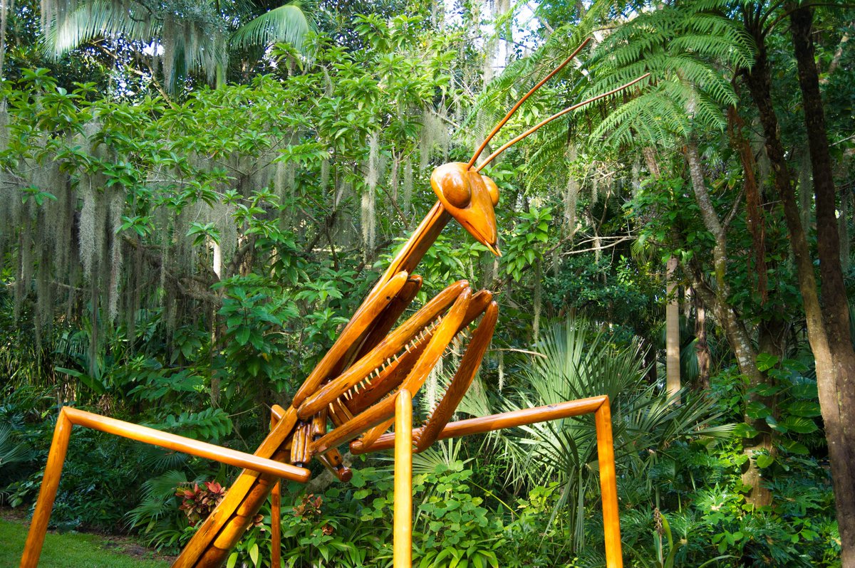 citybeautiful's tweet photo. Today's weather is perfect for experiencing the BIG 🐜 at @LeuGardens. #LoveOrlando https://t.co/X375KgX4o5