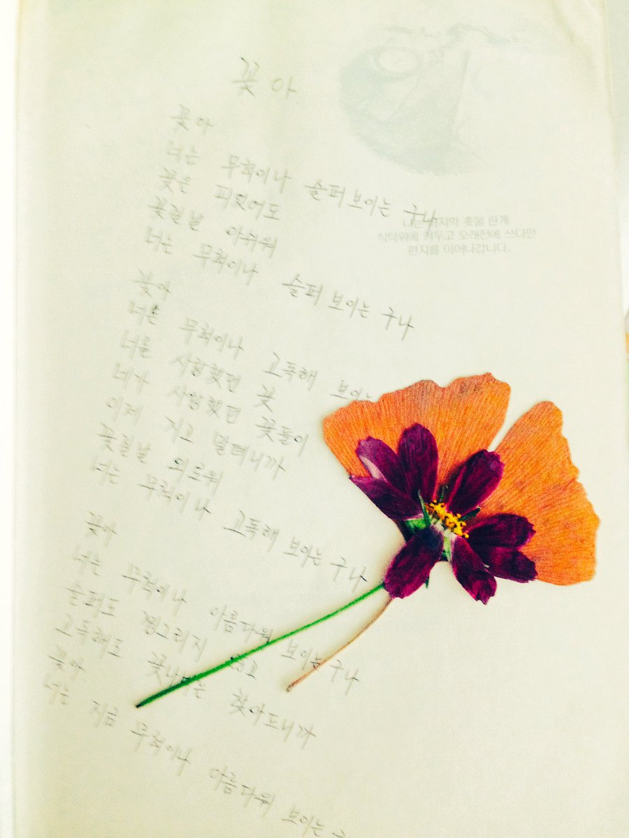 a2loveyou's tweet photo. • https://t.co/mgOfY3msQ3