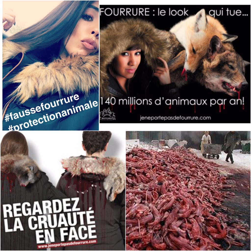 kimglowofficiel's tweet photo. La fausse fourrure synthétique est tout aussi belle,épargner leurs soufrances  MAINTENANT QUE VOUS SAVEZ AGISSEZ ! https://t.co/XDiNFS2dlm