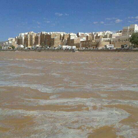 عزيز (@phipbjqbuuj2dmz) on Twitter photo 