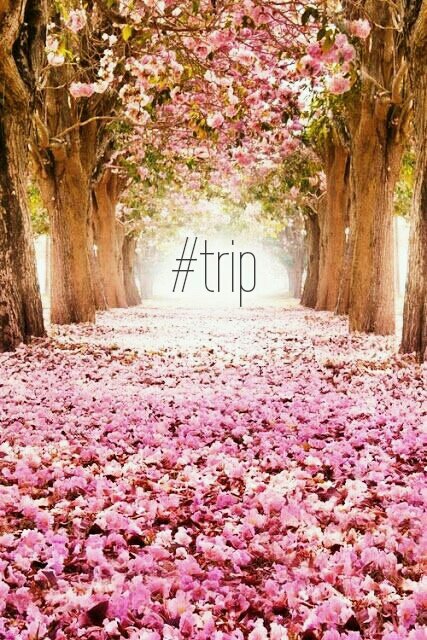jaa_n_aah's tweet photo. #trip https://t.co/YafmDXtpts