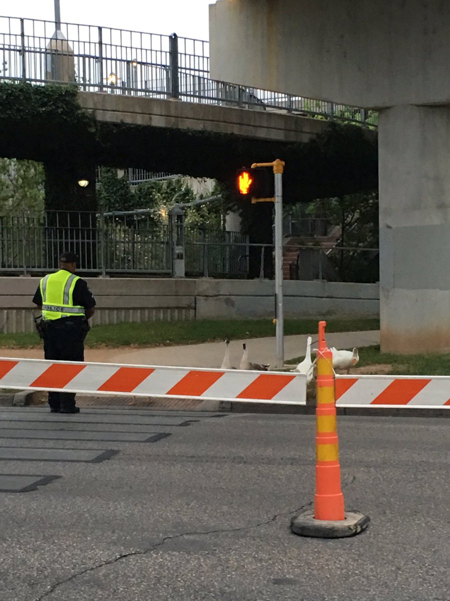Bradley__Maddox's tweet image. Officer bides time pre-race by feeding his feathered friends #Cap10k #Cap10kbae