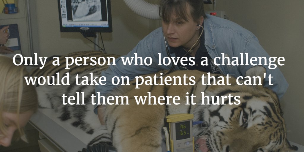 Veterinary_CE's tweet photo. #Veterinarian Life https://t.co/NsF3EKz2Hy