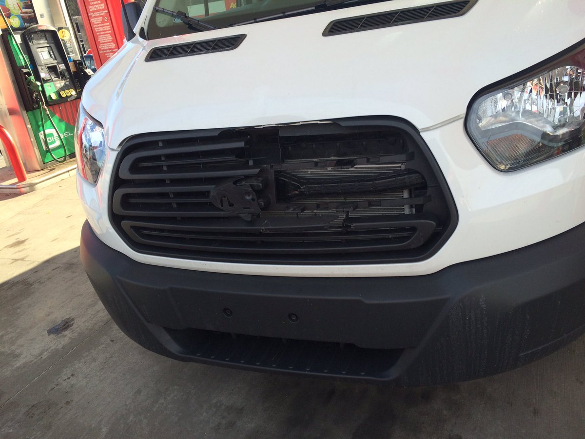 BSDFBLA's tweet image. When it's your first time as a chapter attending the PA FBLA SLC and you hit a turkey #FBLAProblems