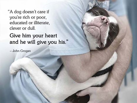 ICOD_Catalog's tweet photo. A Dog Doesn't Care . . . https://t.co/LcnqKpuIbS
