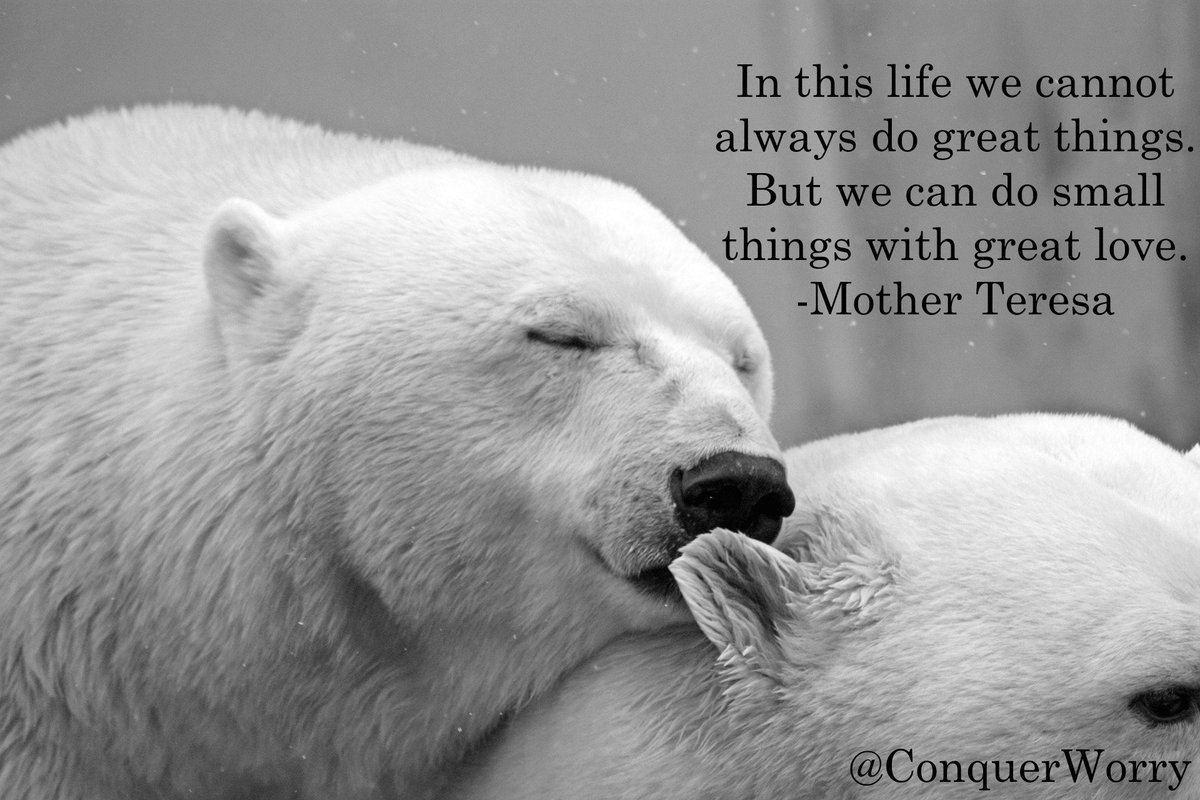 ConquerWorry's tweet photo. In this life we cannot always do great things. But we can do small things with great love. -Mother Teresa https://t.co/c4TyX47WJl