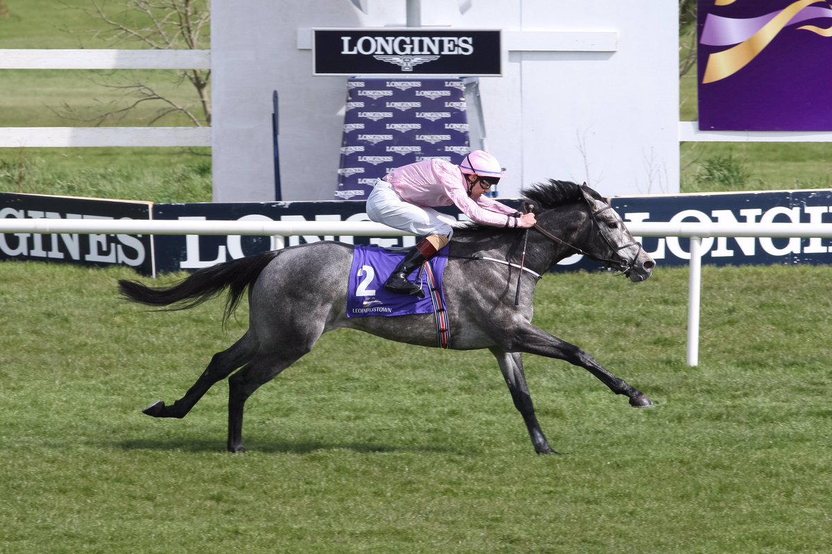 Racing_Pics's tweet photo. Bhutan winning the Racecourse Of The Year Maiden under Donacha O'Brien @LeopardstownRC @RacingFMLive @the_racehour https://t.co/VQObYN42qR