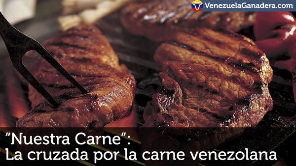 CBSColombia's tweet image. "@visionagro: El consumo de carne roja acelera la pubertad en las niñas, según estudio visionagropecuaria.com/index.php/inte… https://t.co/ieQFDXrQlx"