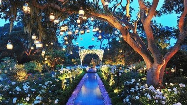 SugarBeanJewels's tweet photo. "With freedom, books, flowers, and the moon, who could not be happy?" - Oscar Wilde #love #sugarbeanjewelry #quote https://t.co/6ySrgOuu42