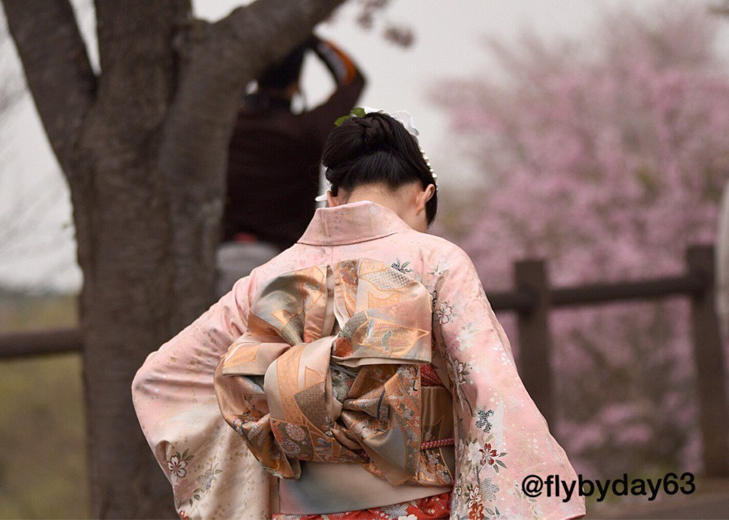flybyday63's tweet photo. Plane spotting Japanese style...!! #JapanAirlines #JAL #ANA #B787 #Dreamliner #Narita #Japan #CherryBlossom #Sakura🌸 https://t.co/uJOWAS9DDB