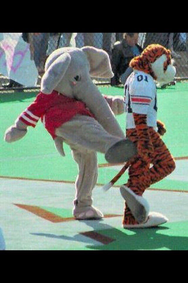 nolabamaalumni's tweet photo. Happy National Siblings Day "LITTLE BROTHER!" #NationalSiblingDay #rolltide #nolabama https://t.co/GRpOwNYdcw
