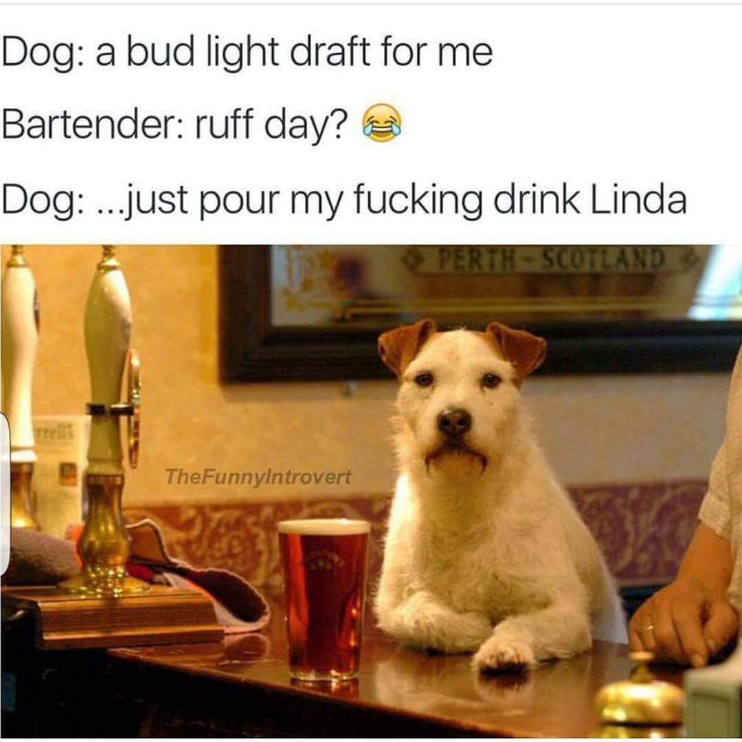 OutOf_TheLoop's tweet image. 