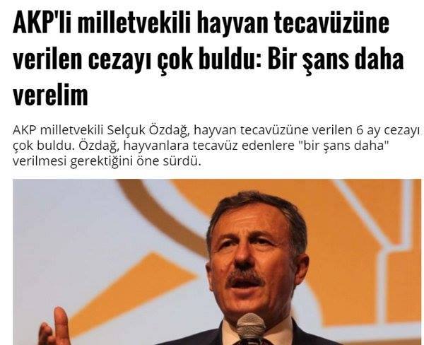 Diren_Raz_iye's tweet photo. "1 sorun var akp de
hayvana tecavüzden ceza alana bir şans daha
çocuk tecavüzünde bir kereden bişey olmaz https://t.co/33ntl6BZAQ