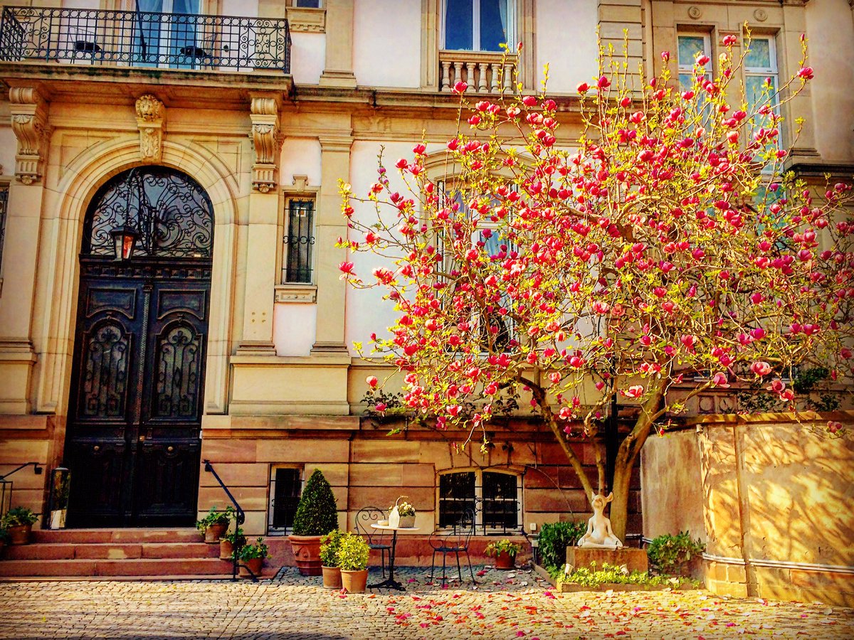 Le #printemps est à #Strasbourg