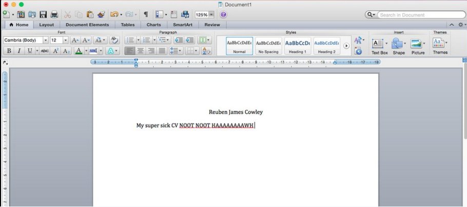 RooCowley's tweet image. I've had non-stop job offers since I wrote my CV #BestCV