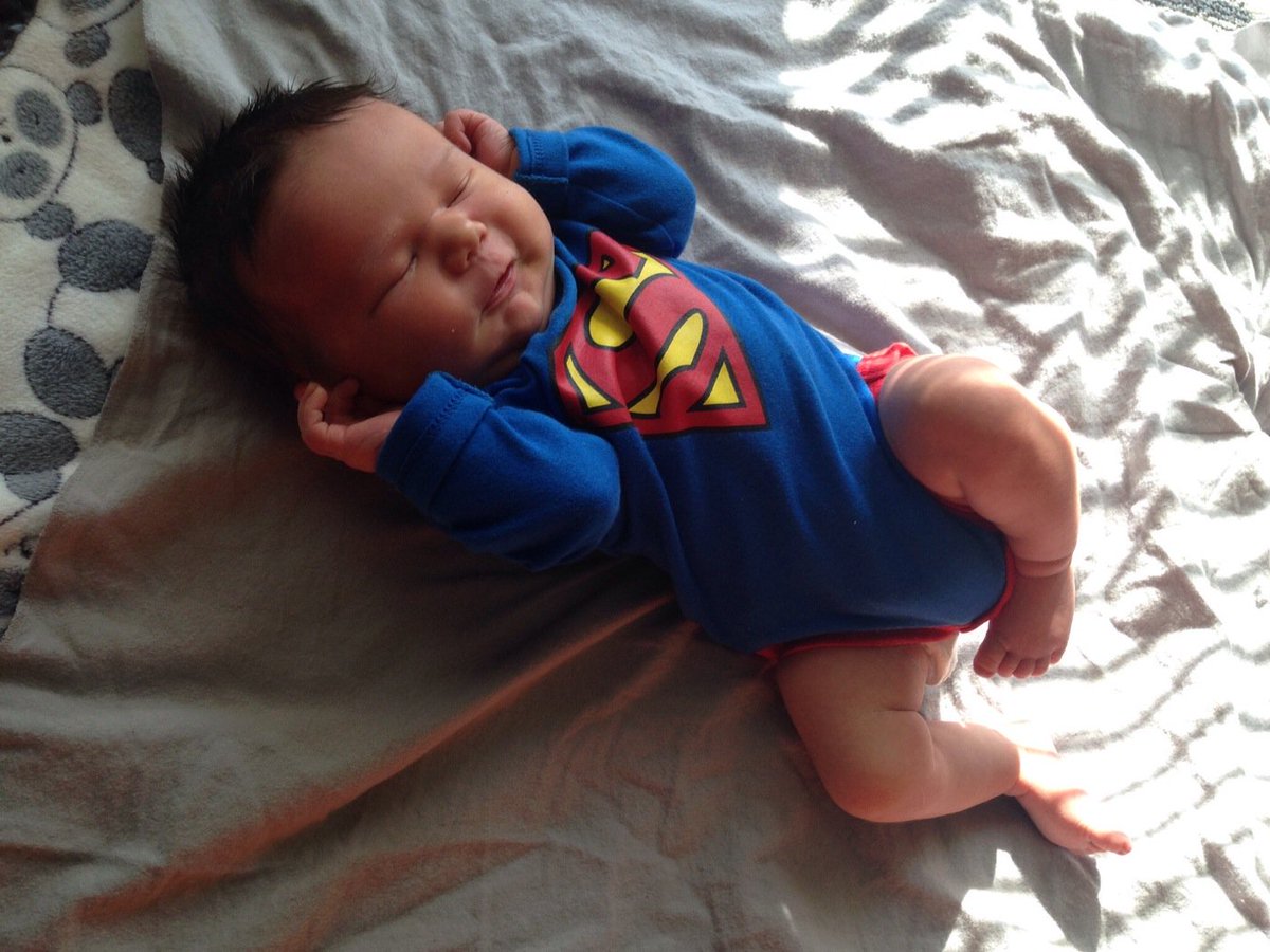kristevenson's tweet photo. Super Baby! All head, no legs. Yup. He's a Gallant. ❤️ https://t.co/crw2g9bDOa