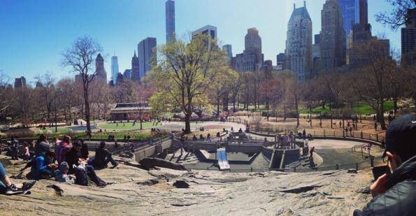 RinconesNY's tweet photo. Central Park ahora mismo... Hace un día espectacular para pasear por el parque 🗽❤️🗽 https://t.co/OPNZyiVqGt