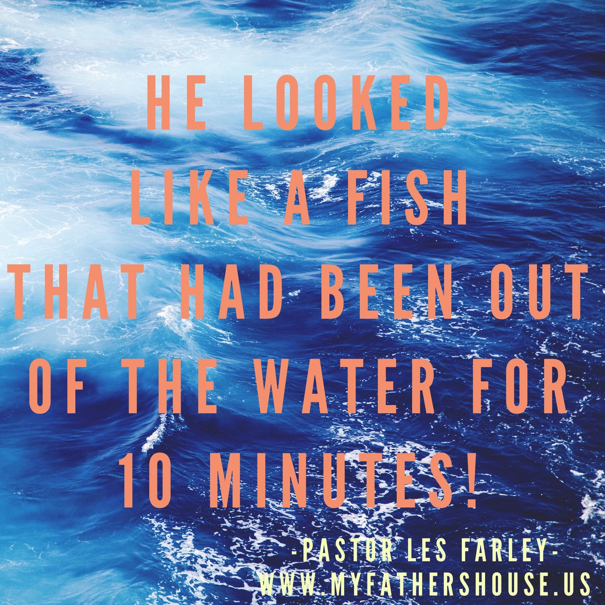 IrresistibleUs_'s tweet photo. #Quote #SillyQuotes #Fish #HijackingJesus https://t.co/ONhnQebN5A