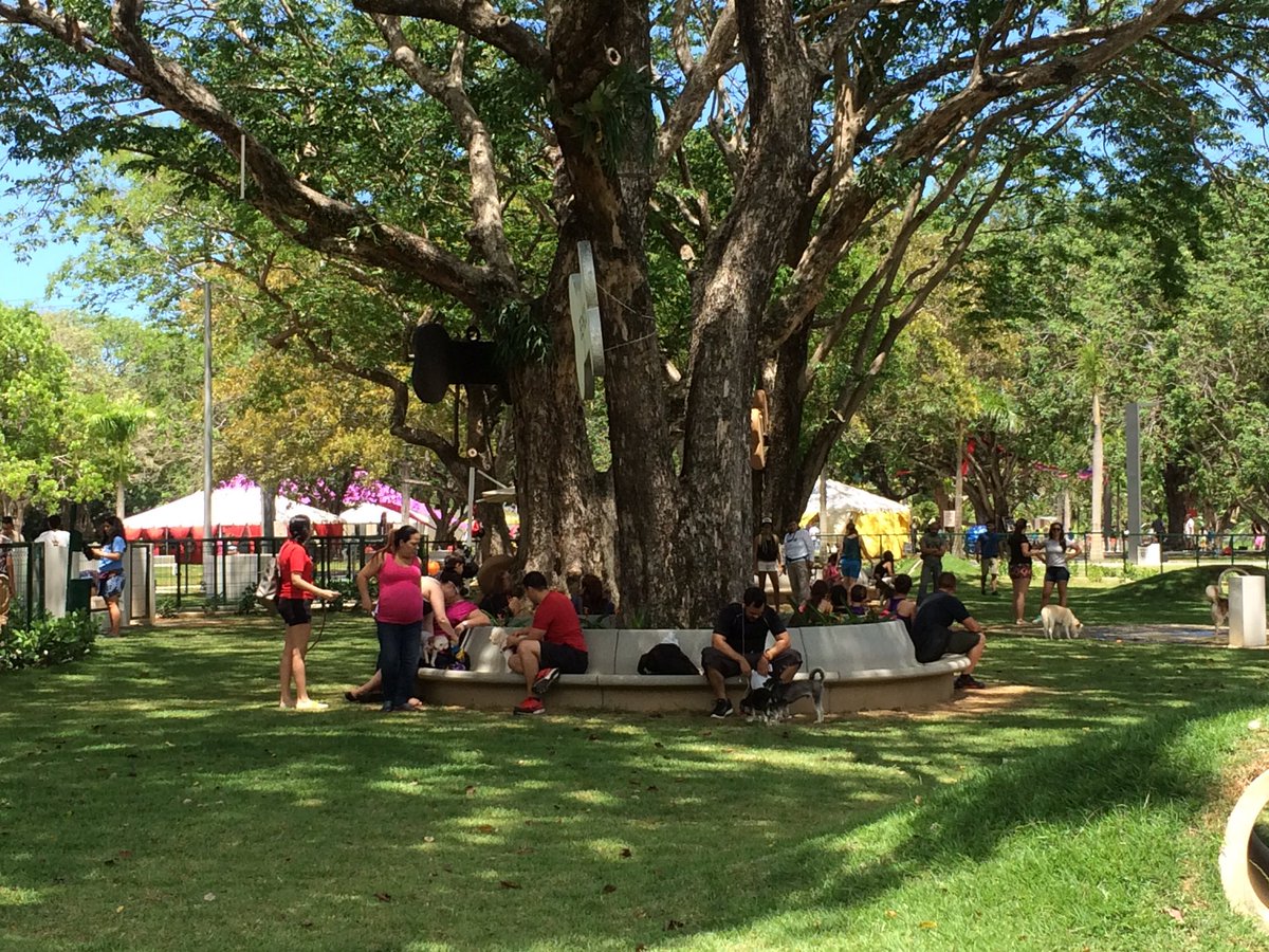 CarmenYulinCruz's tweet photo. Hoy en Parque LMM Circo Nacional 2:30 pm y Comparsas con Gíbaro de Puerto Rico. Un Parque para toda la familia. https://t.co/0wXZSer215