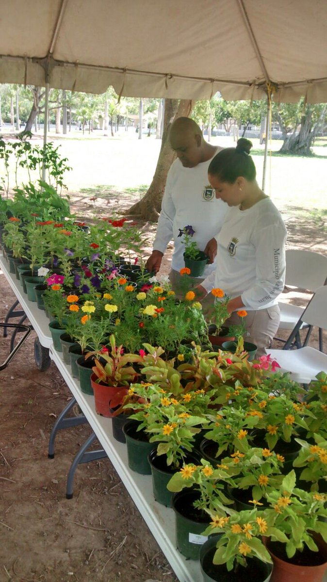 CarmenYulinCruz's tweet photo. Hoy en Parque LMM Circo Nacional 2:30 pm y Comparsas con Gíbaro de Puerto Rico. Un Parque para toda la familia. https://t.co/0wXZSer215