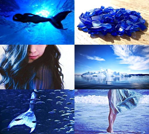 World Rol tweet media