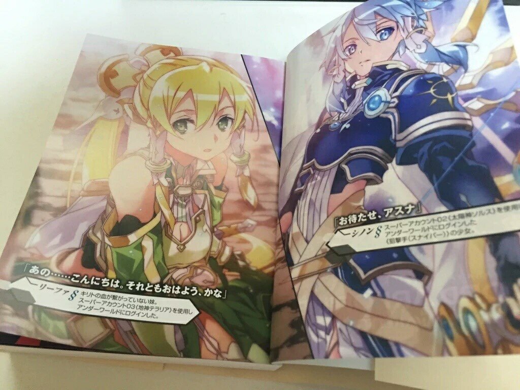 sao 18 light novel.