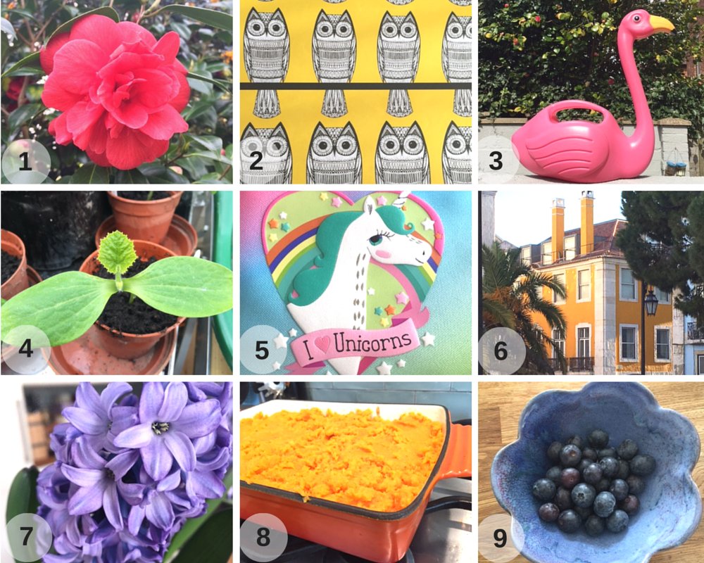 Maison_Bailey_'s tweet photo. My Week In... A Rainbow: https://t.co/PCkSZEArH3 #rainbow #homeblog #unicorn #gardening #MyHome https://t.co/OII8Q3BUwI