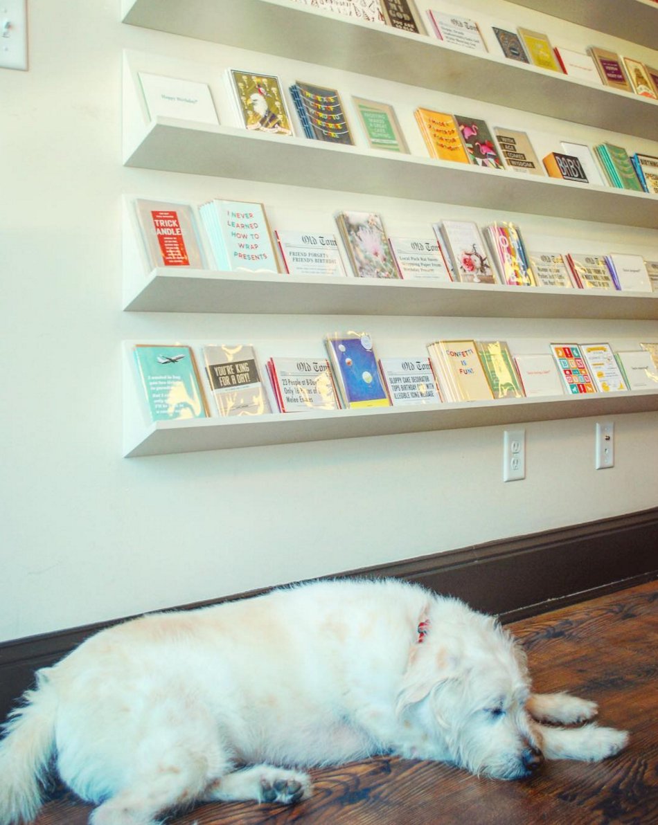 Happy #NationalPetDay! We're pretty sure we have the best pet in the city. 🐾
#mpls #shopdog #eatstreet #minneapolis
