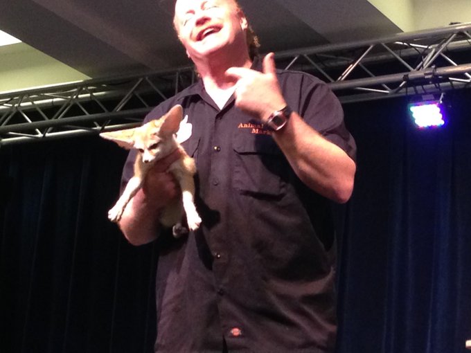 Fen fen!  #animalmagic #charityshow #mcfc2016 https://t.co/oqcFTOIoZK<a href="/tag/animalmagic"class="tags">#animalmagic</a><a href="/tag/charityshow"class="tags">#charityshow</a><a href="/tag/mcfc2016"class="tags">#mcfc2016</a>
