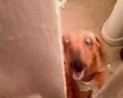 _QueenManaza's tweet photo. -cuando estás en el baño y se te olvida ponerle seguro y alguien entra de repente. https://t.co/UOmUJmwxFH