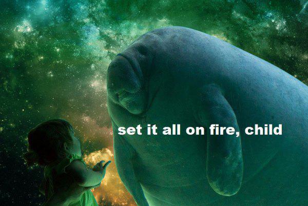 InstantClear's tweet image. Why is this the most common image I see when I search for manatees??? X'D