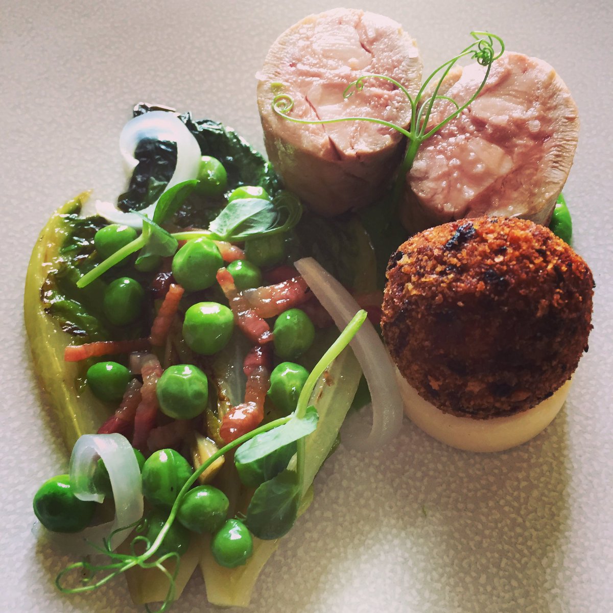 DormyHouse's tweet photo. @Chef_swifty's Spring tasting menu - packed with local loveliness. Featuring @NolanBrook @BillysEggs &amp; @PaddockFarm https://t.co/D3r35EVeS2