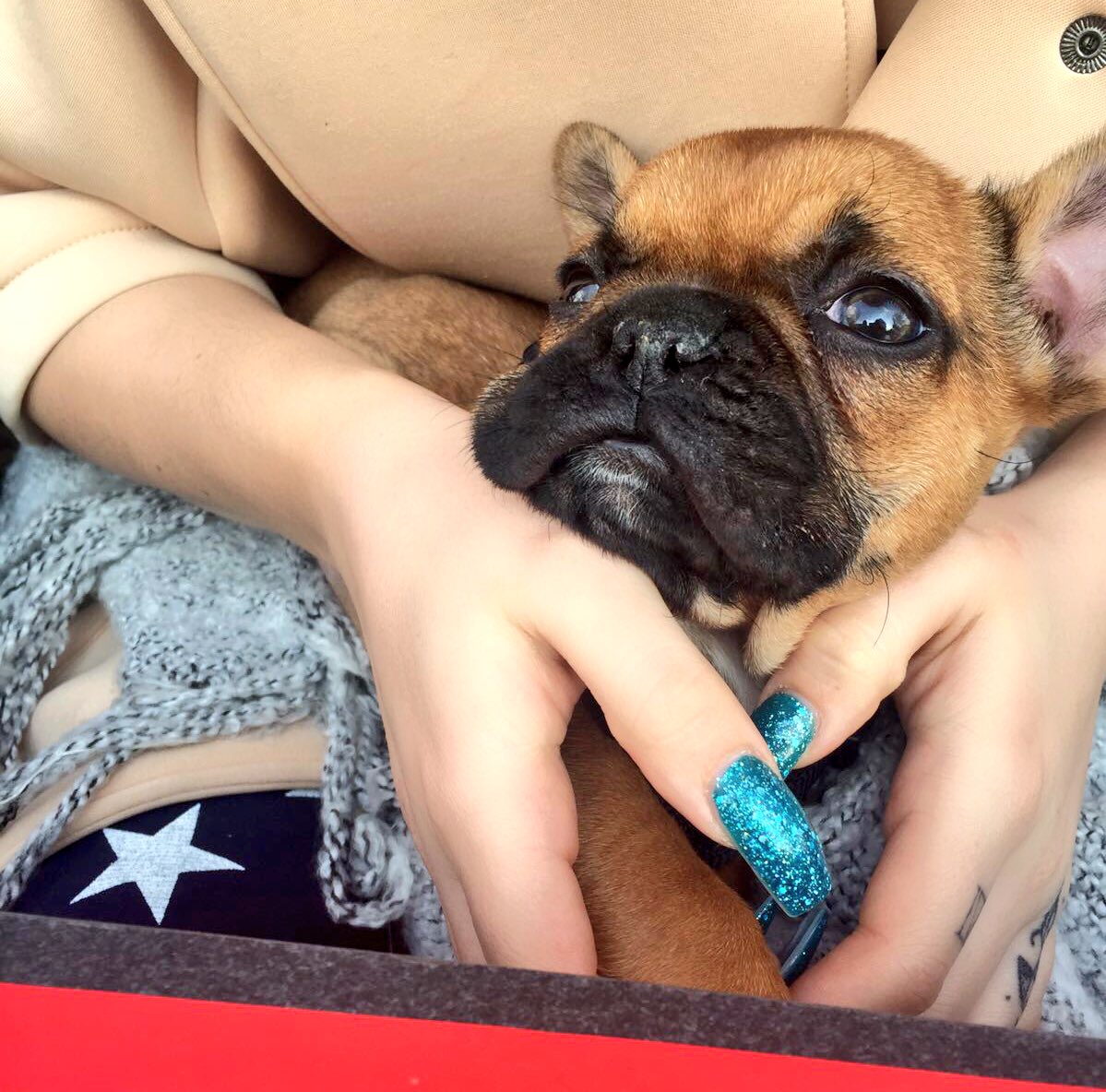 Johnny 🐶