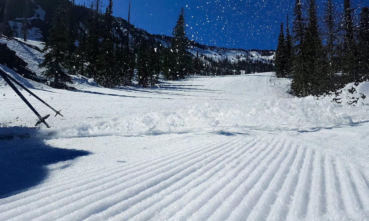 skimissionridge's tweet photo. #springcorn and #goggletans today! https://t.co/vCpF0SmiJt